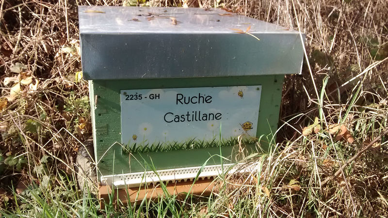 La ruche Castillane