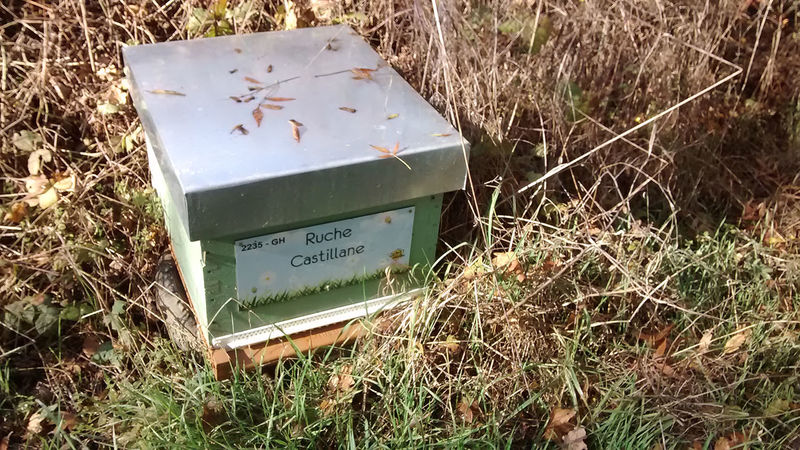 La ruche Castillane