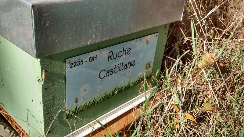 La ruche Castillane