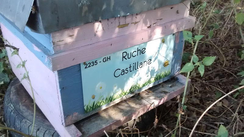La ruche Castillane