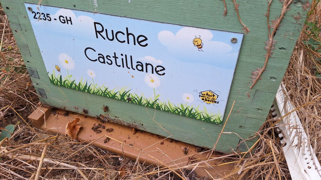 La ruche Castillane
