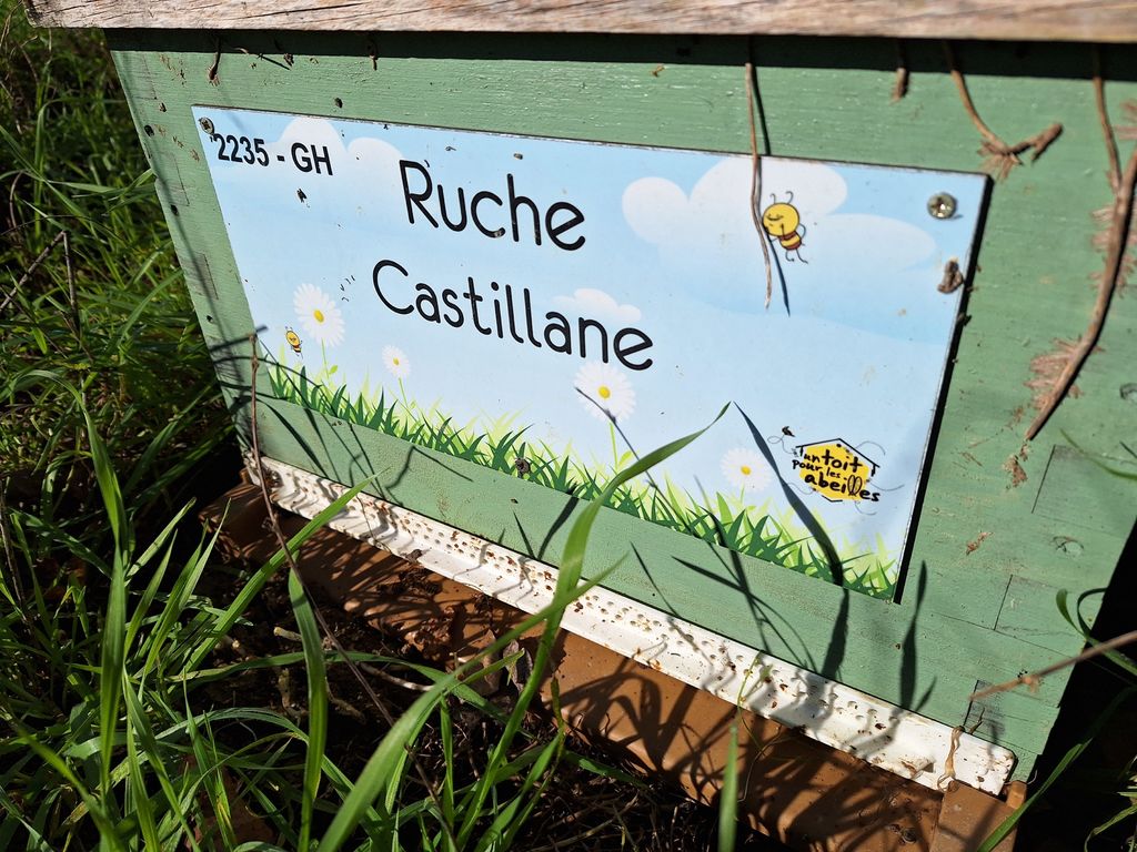 La ruche Castillane