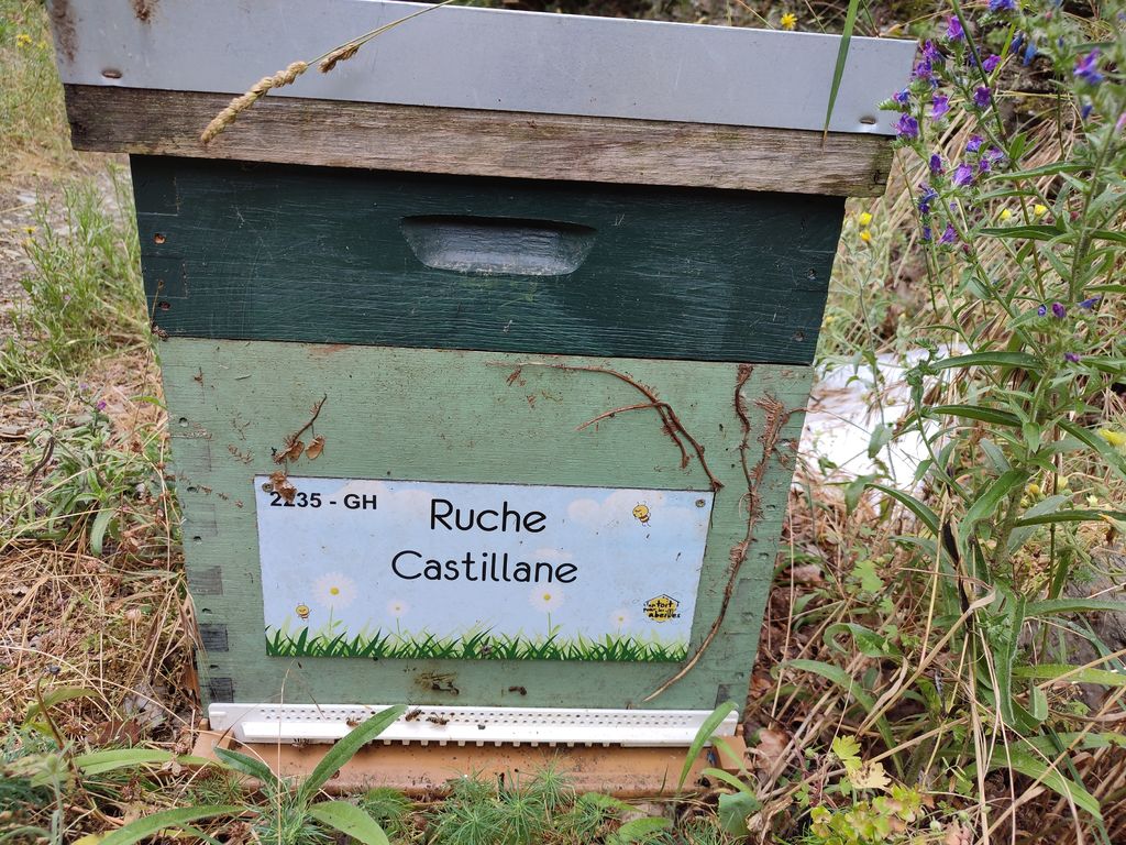 La ruche Castillane