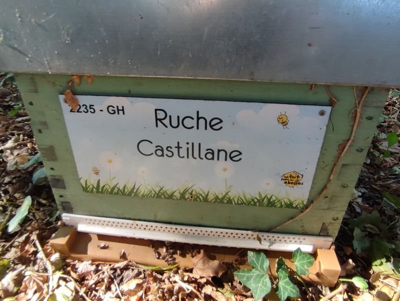La ruche Castillane