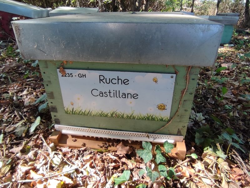 La ruche Castillane