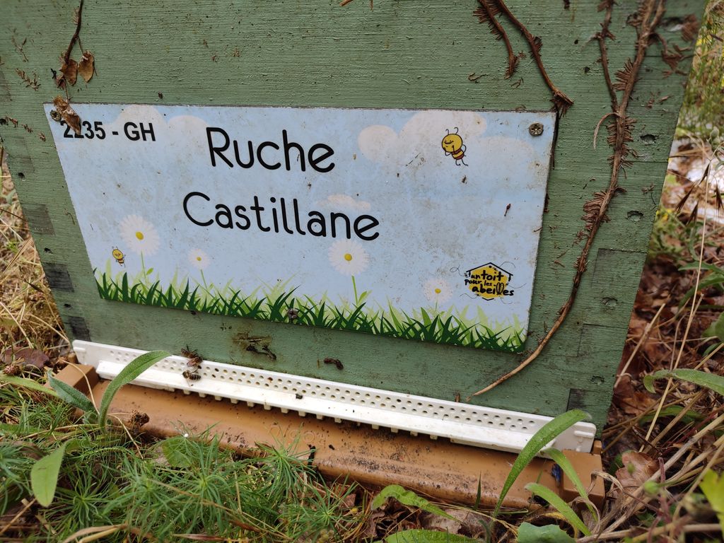 La ruche Castillane