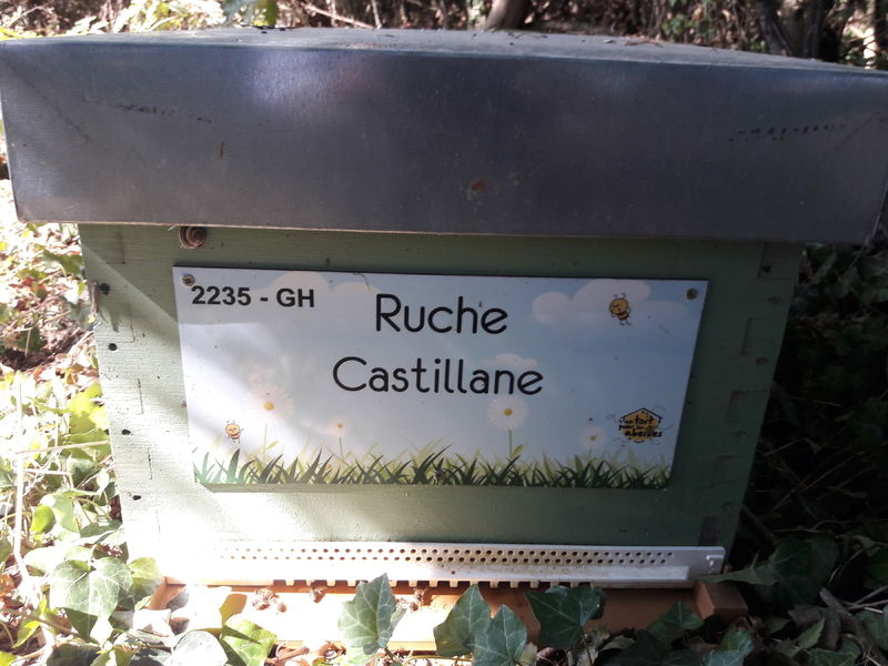 La ruche Castillane
