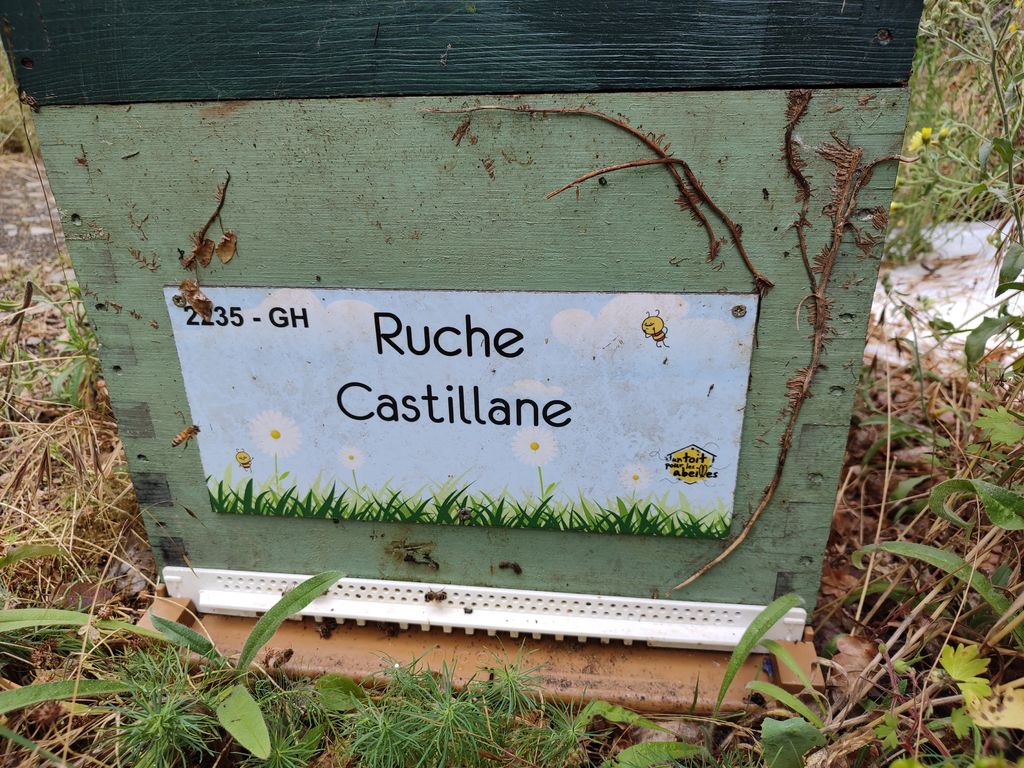 La ruche Castillane