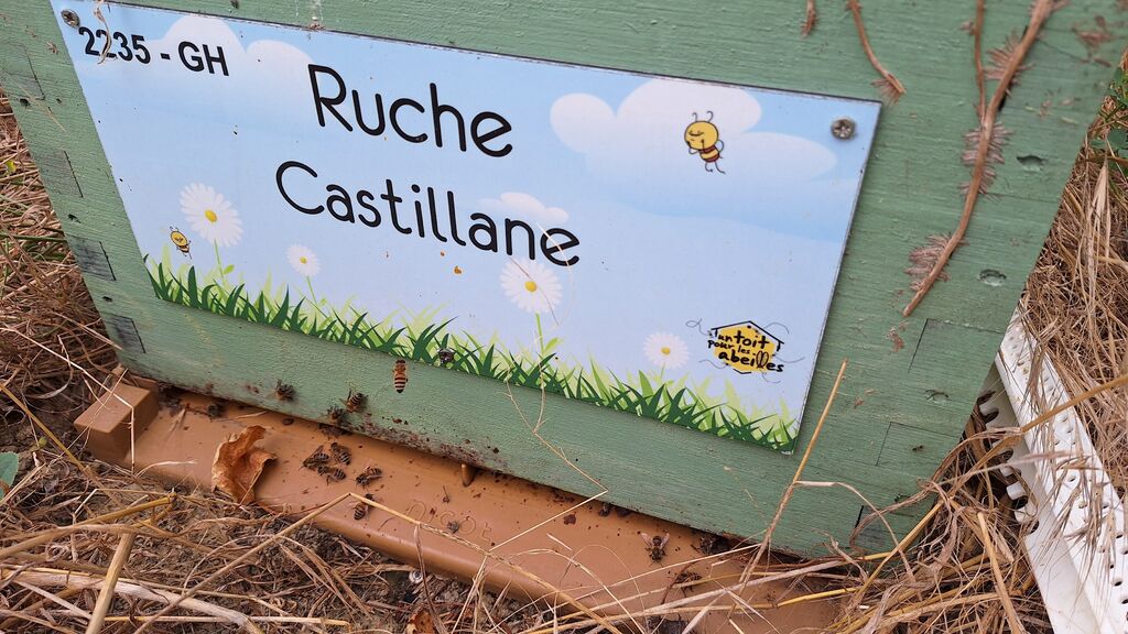 La ruche Castillane