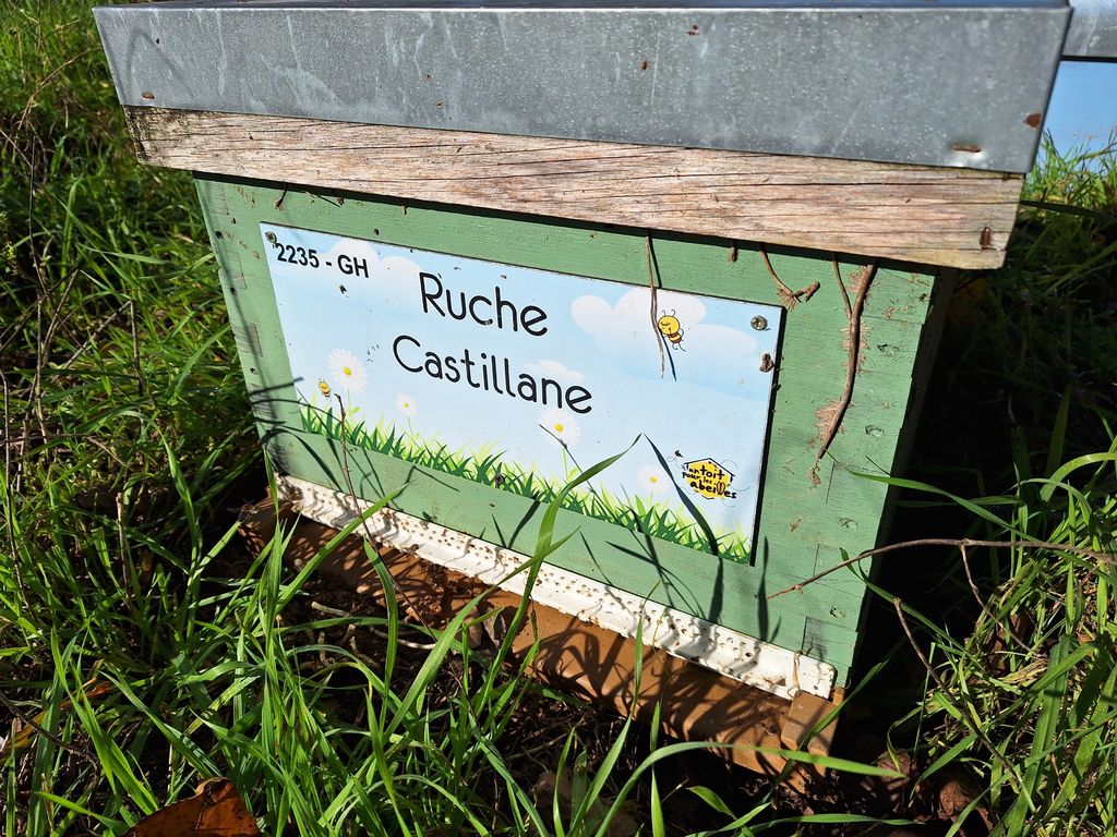 La ruche Castillane