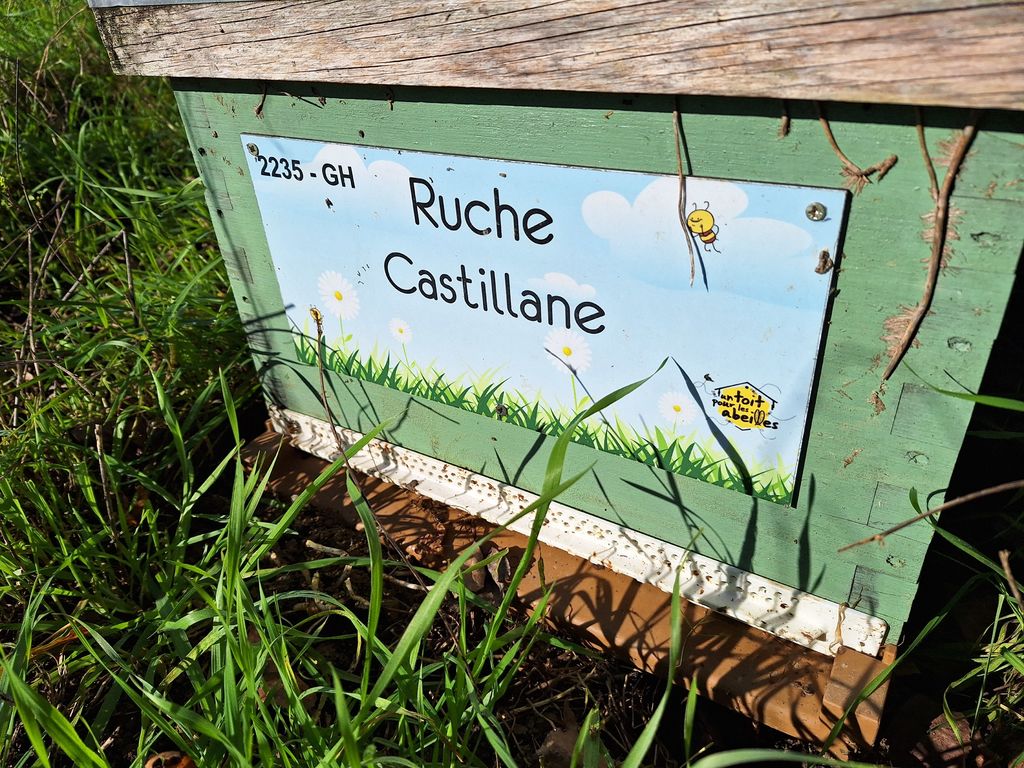 La ruche Castillane