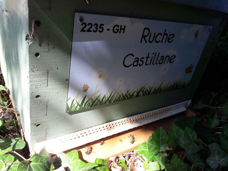 La ruche Castillane