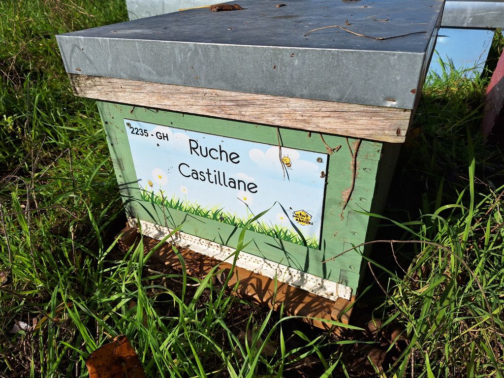 La ruche Castillane