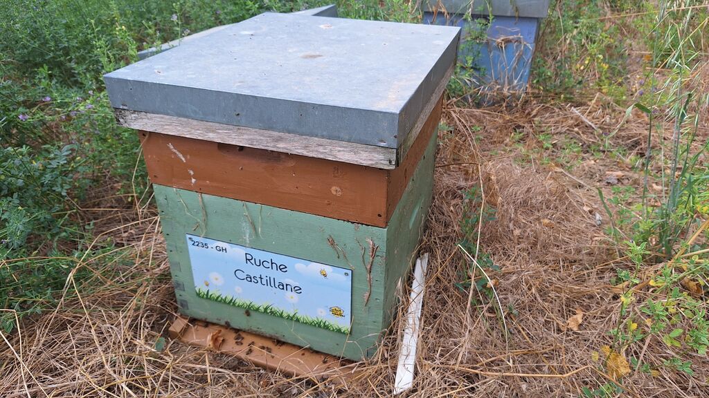 La ruche Castillane