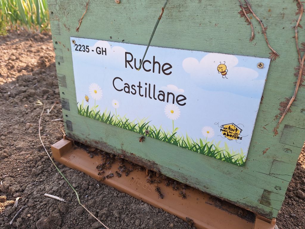 La ruche Castillane