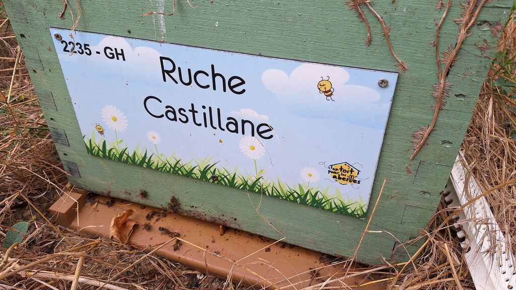 La ruche Castillane