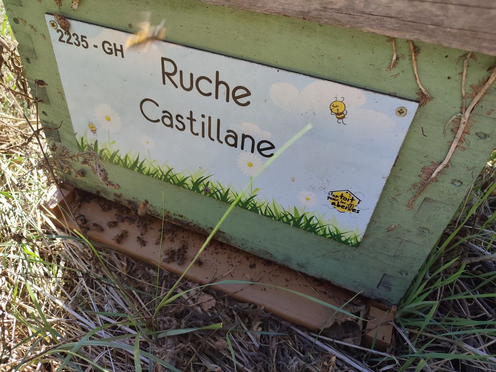 La ruche Castillane