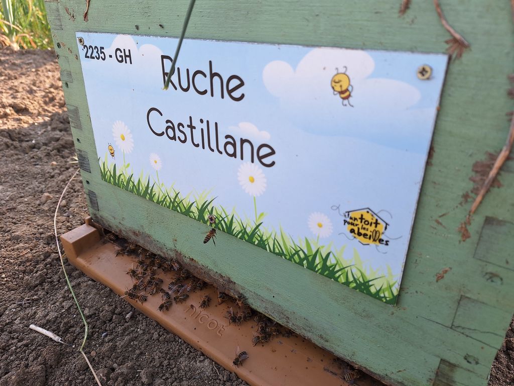 La ruche Castillane