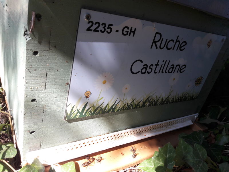 La ruche Castillane