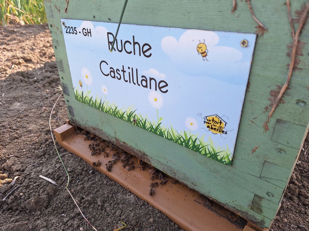 La ruche Castillane