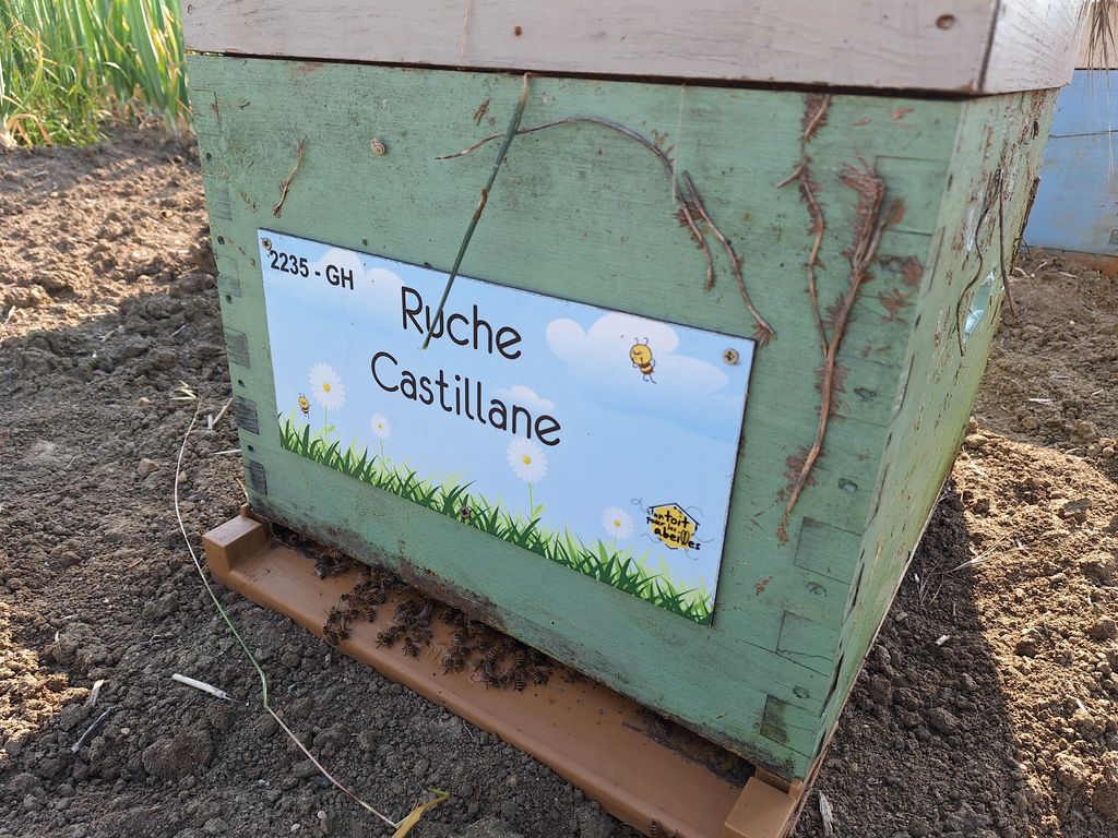 La ruche Castillane