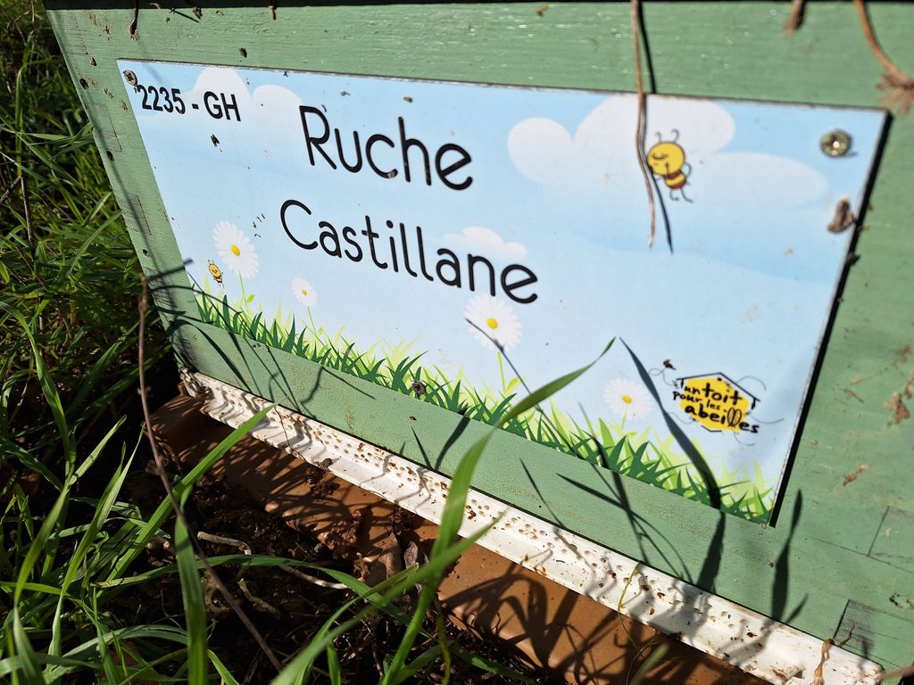 La ruche Castillane