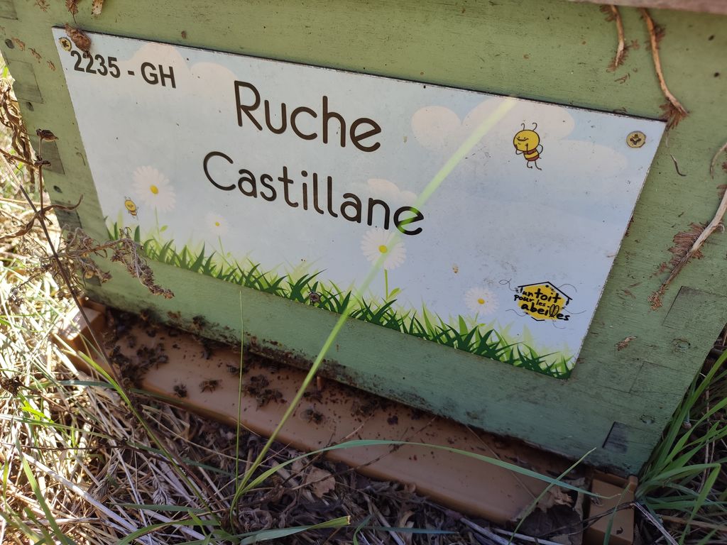 La ruche Castillane