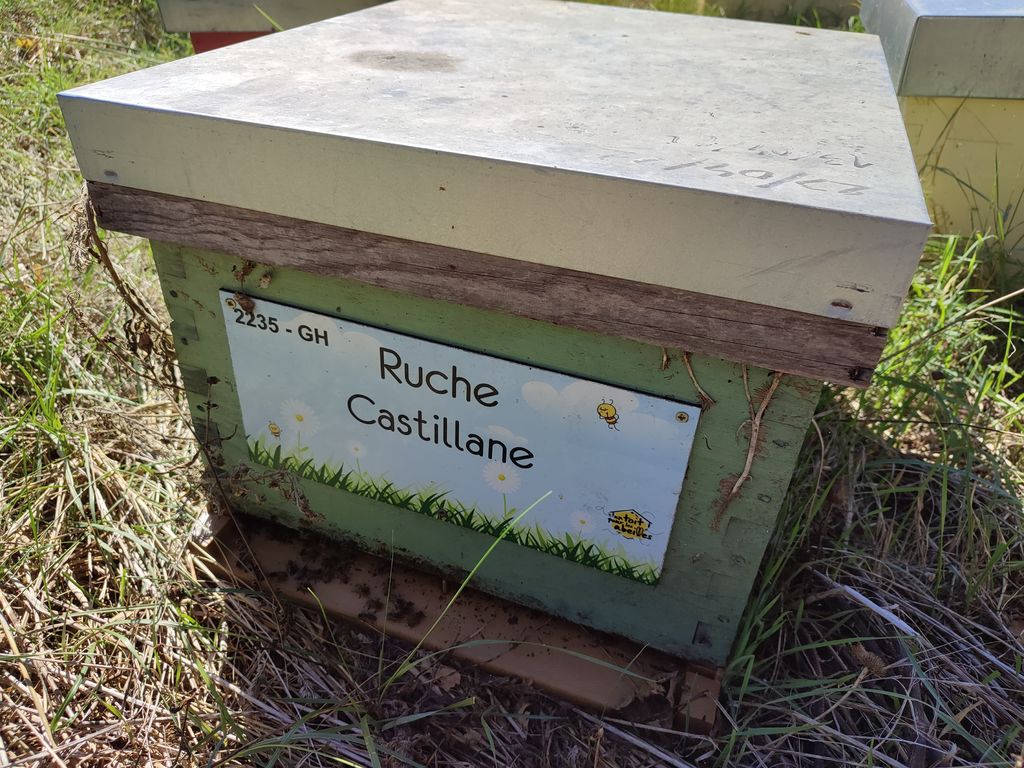 La ruche Castillane