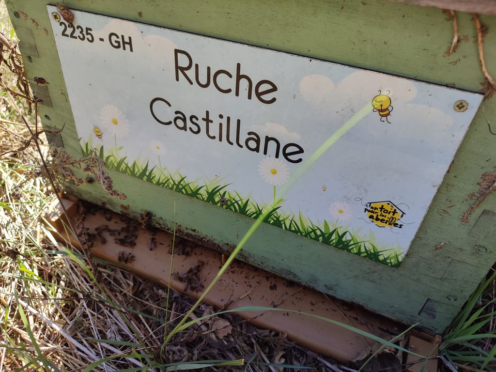 La ruche Castillane