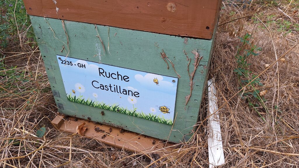 La ruche Castillane