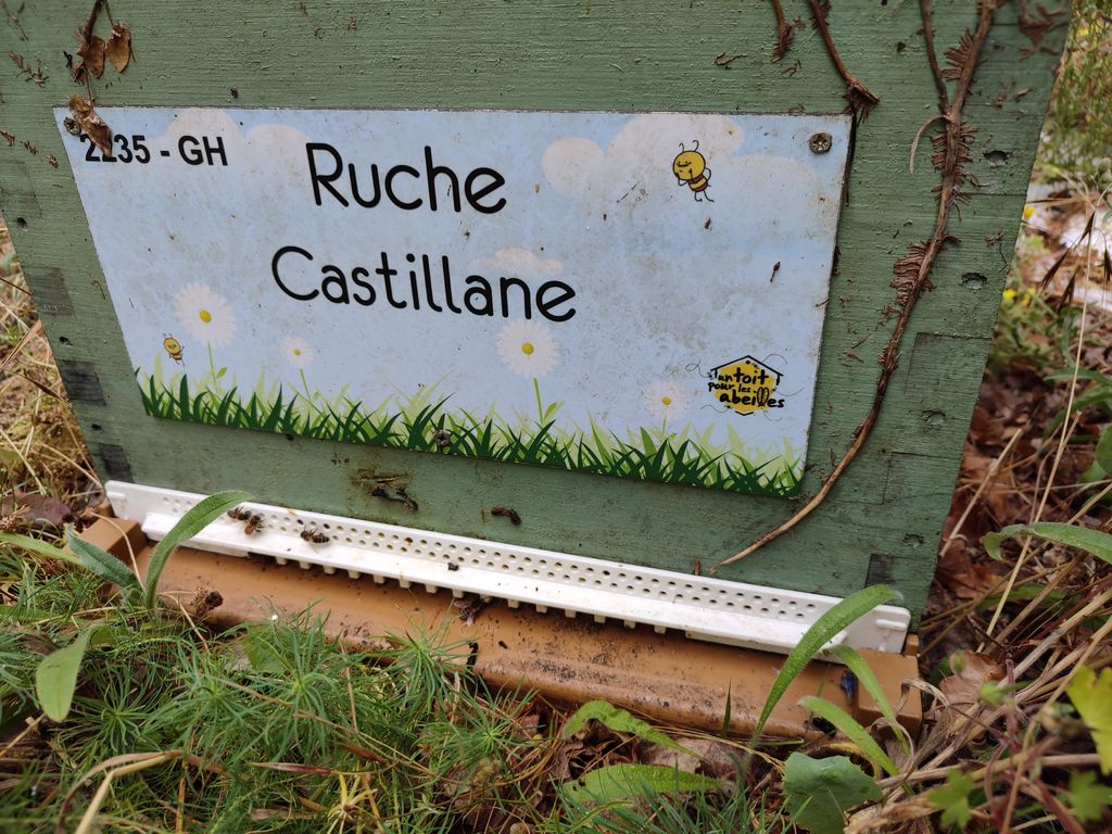 La ruche Castillane