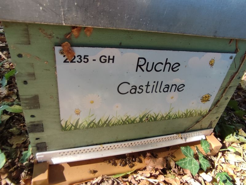 La ruche Castillane