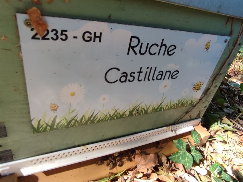 La ruche Castillane