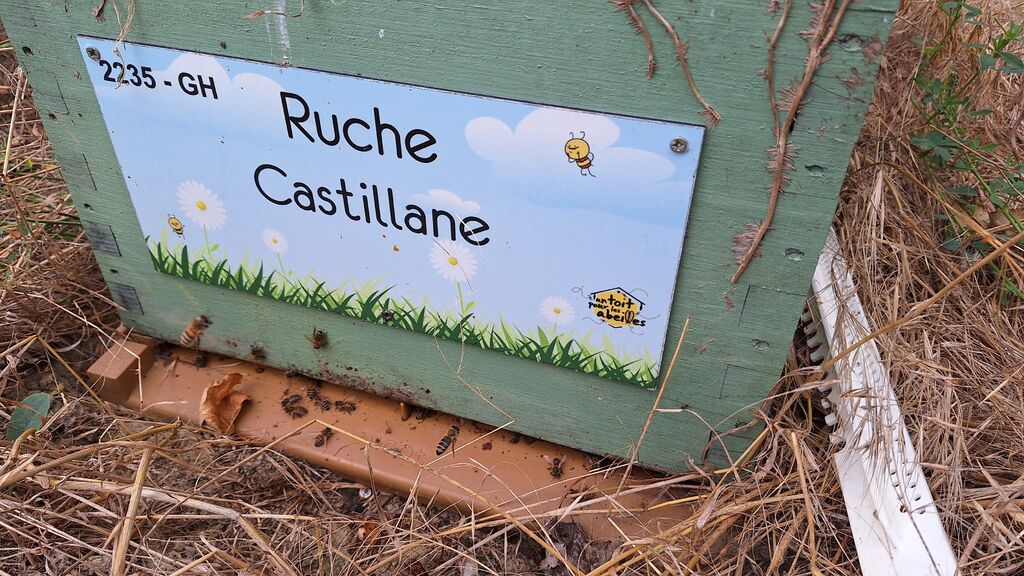 La ruche Castillane