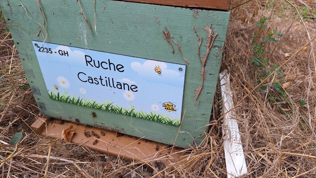 La ruche Castillane