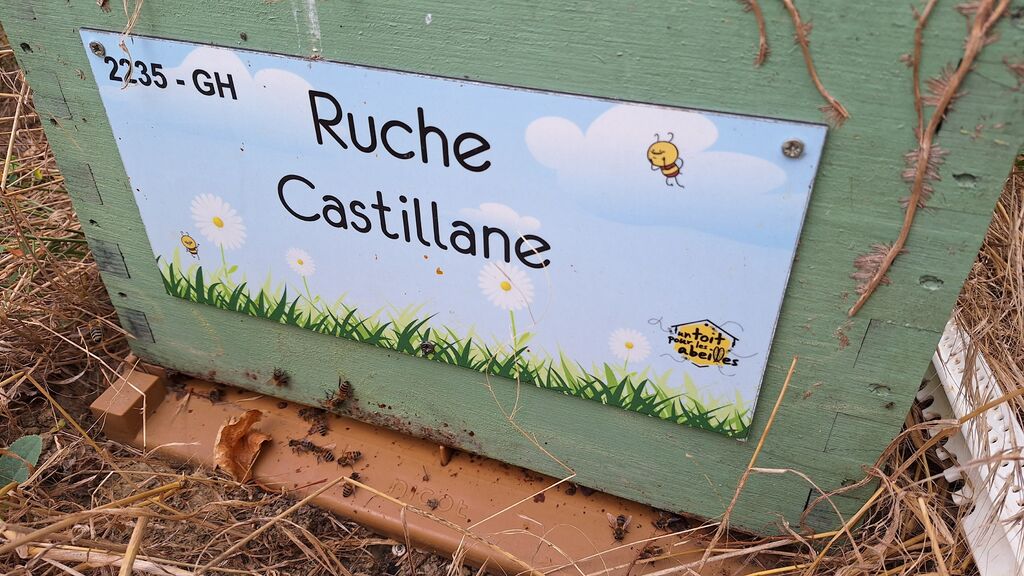 La ruche Castillane