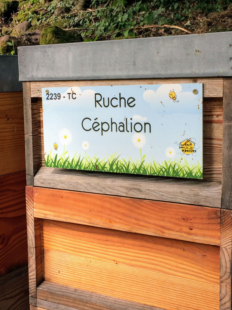 La ruche