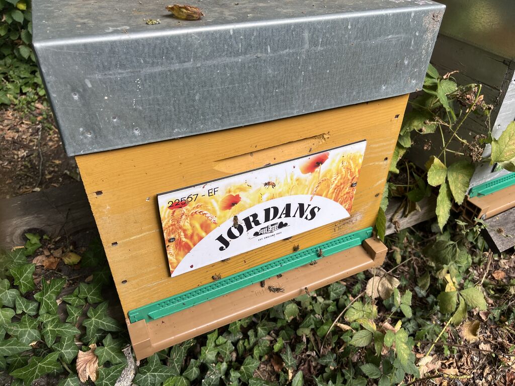 La ruche Jordans dorset ryvita