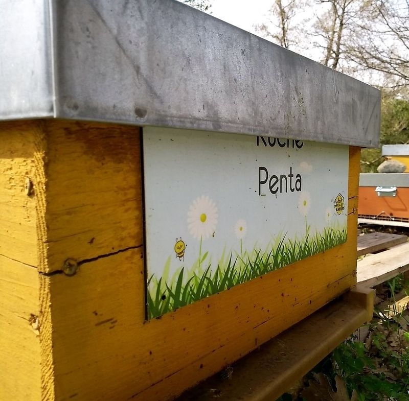 La ruche Penta
