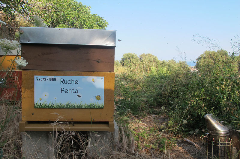 La ruche