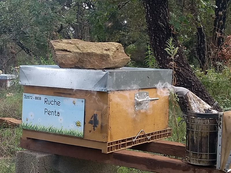 La ruche Penta