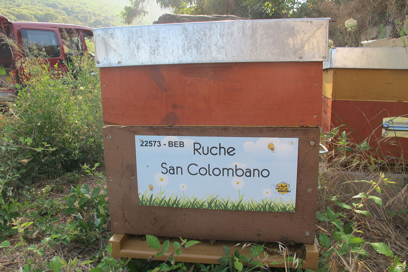 La ruche San Colombano