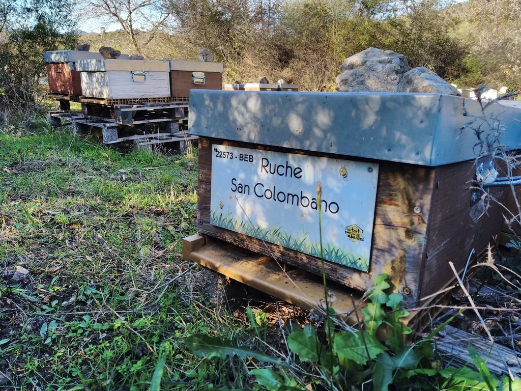 La ruche San Colombano
