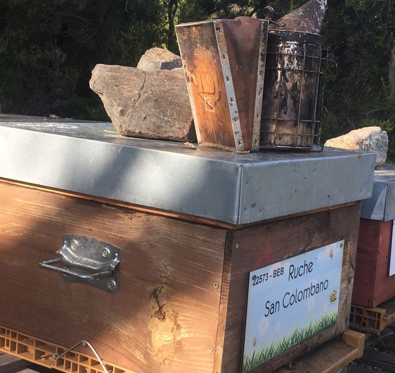 La ruche San Colombano