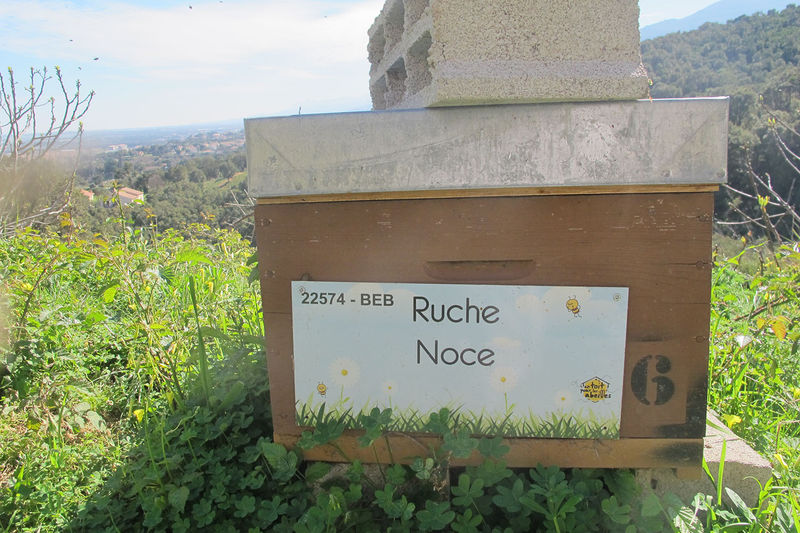 La ruche Noce