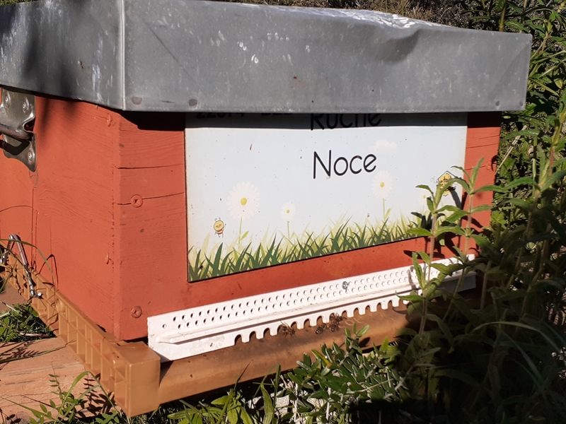La ruche Noce