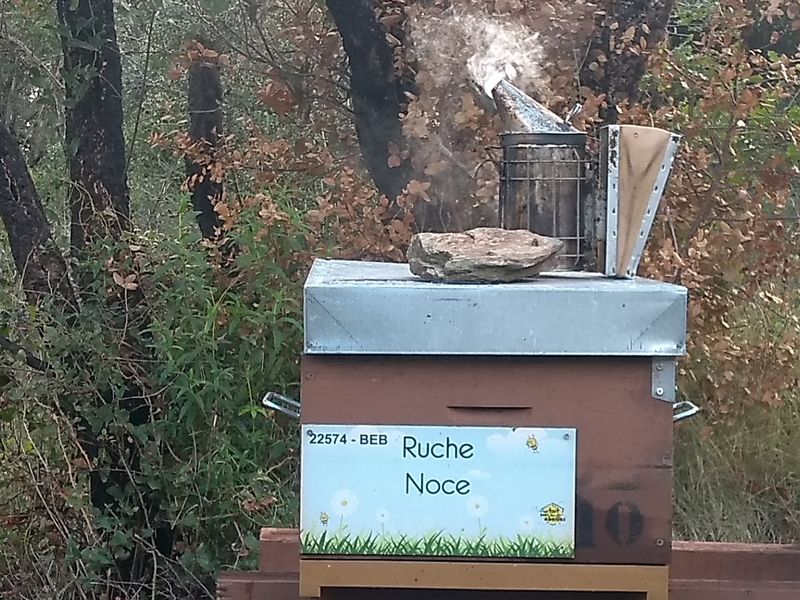 La ruche Noce