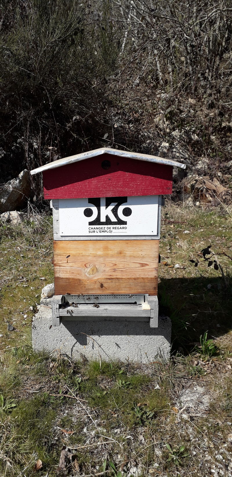 La ruche OKO