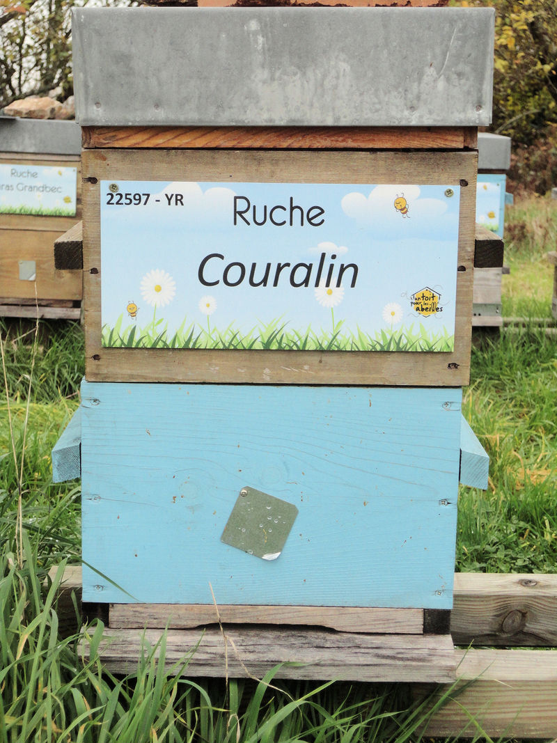 La ruche Couralin