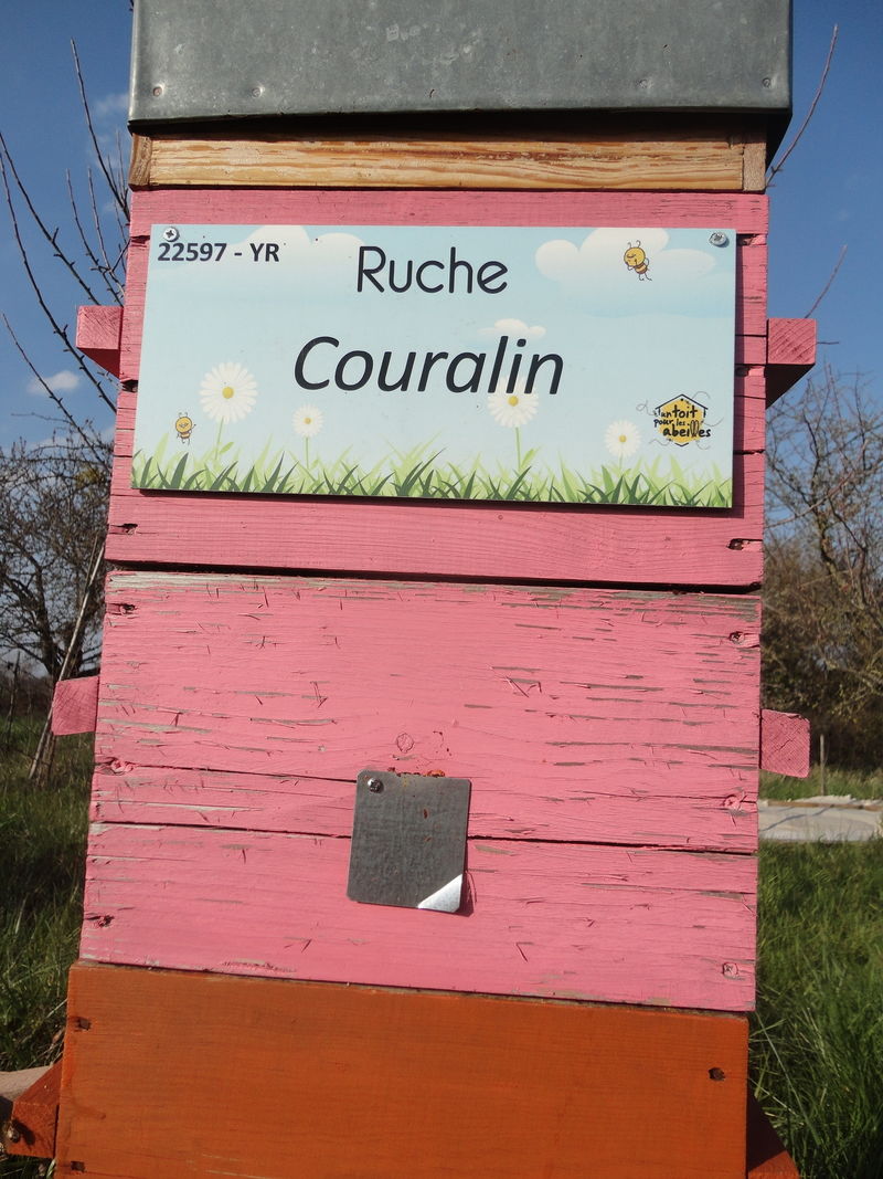 La ruche Couralin